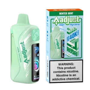 Winter Mint vape flavor