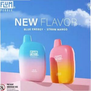 Flum Vape Pebble Disposable Vape