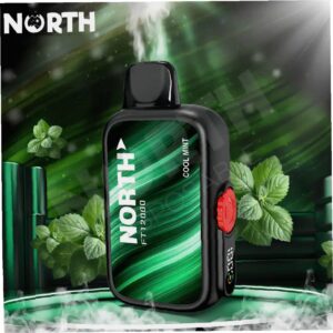 North Vape FT12000 Disposable 12000 Puffs Strawberry Watermelon
