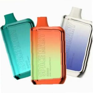 SPACE MARY VAPE SM8000 DISPOSABLE Miami Mint